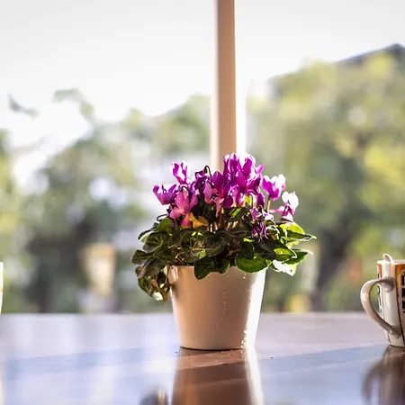 Albergue The Holy Rock - At Meteora
